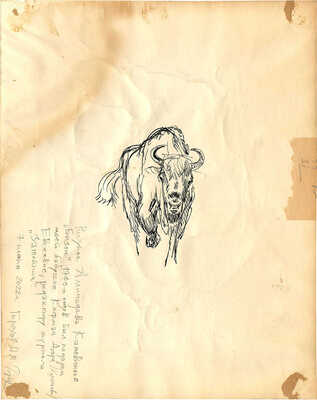 Каневский Аминадав Моисеевич. Бизон 